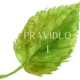 třídní pravidla -LES 5