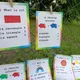 Quiz questions - COLOURS 2