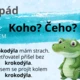 PÁDOVÉ OTÁZKY SE ZVÍŘÁTKY S PŘEDLOŽKAMI A PŘÍKLADY - Výzdoba třídy, demonstrační karty 2