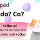 PÁDOVÉ OTÁZKY SE ZVÍŘÁTKY S PŘEDLOŽKAMI A PŘÍKLADY - Výzdoba třídy, demonstrační karty 4
