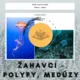 Plán dvou vyučovacíh hodin - Žahavci, Polypy a Medúzy 3