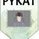 Vyjmenovaná slova po P 3
