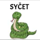 Vyjmenovaná slova po S 4