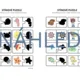 Stínové puzzle - moře a námořníci 3