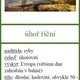 Sladkovodní ryby - trojice 3