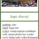 Sladkovodní ryby - trojice 4