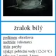 Pláštěnci, bezlebeční, kruhoústí, paryby - trojice 4