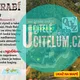 INTERAKTIVNÍ DIKTÁT Z ČJ A OPAKOVACÍ PEXESO 6