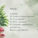 Pravidla lesa 2