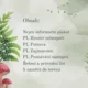 Obojživelníci 2