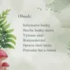 Sinice 2