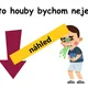 Matematické sčítací pyramidy do 20 + učíme se poznat HOUBY 8