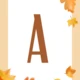 Podzim ťuká na vrátka 5