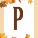 Podzim ťuká na vrátka 2
