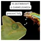 CHAMELEON A MUŠÍ KOMANDO - KOOPERATIVNÍ OBRÁZEK, PL, ZAJÍMAVOSTI, OMALOVÁNKY 4