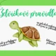 Školková pravidla  5