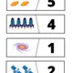 Vesmír (matematická pregramotnost) 3