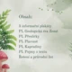 Kapraďorosty - plavuně, přesličky, kapradiny 2