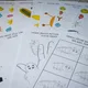 Bacily - Pracovní listy  3