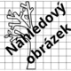 Podzimní symetrie 2