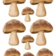 Podzimní výzdoba 3