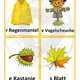 Herbst Bildkarten 3