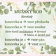 Plakáty vzory podstatných jmen 2