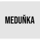 SLOVA NADŘAZENÁ & PODŘAZENÁ (vztahy mezi slovy) 5