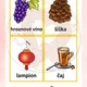 Podzim flashcards 2