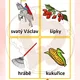 Podzim flashcards 3
