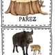 Království lesa 6