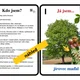 UČÍME SE POZNÁVAT NEJZNÁMĚJŠÍ LISTNATÉ STROMY LESA A MĚST, VŠÍMÁME SI DETAILŮ 3