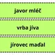 UČÍME SE POZNÁVAT NEJZNÁMĚJŠÍ LISTNATÉ STROMY LESA A MĚST, VŠÍMÁME SI DETAILŮ 6