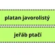 UČÍME SE POZNÁVAT NEJZNÁMĚJŠÍ LISTNATÉ STROMY LESA A MĚST, VŠÍMÁME SI DETAILŮ 8
