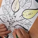 STROMY - tematická výuka 4.-5.r. 10