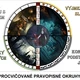 PRAVOPIS: deskovka s kolíčkováním 3