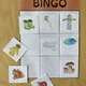 Podzimní BINGO- Autumn BINGO 2
