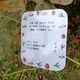 Quiz game - Forest 6