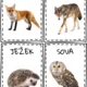 Podzimní aktivity 2
