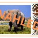 Poznej ZVÍŘATA ZE ZOO - podle obrázků, podle textu 6