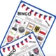 Bingo VZNIK ČSR 3