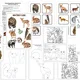 Pohybová/ postřehová / poznávací hra “ ZVÍŘÁTKA V LESE - SCHOVEJTE SE!" 🐿️🦅🐻 2