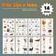 Kdo žije v lese 2