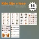 Kdo žije v lese 3