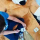 Naše zahrádka - české regionální ovoce a zelenina 4