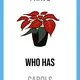 ENG - CHRISTMAS (3 PACK) 2