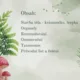 Prvoci 2