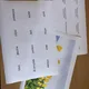 Významy vyjmenovaných slov po S, V a Z - loto 2