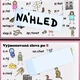 VYJMENOVANÁ SLOVA s obrázky - plakáty 2