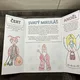 MIKULÁŠ - LAPBOOK 2